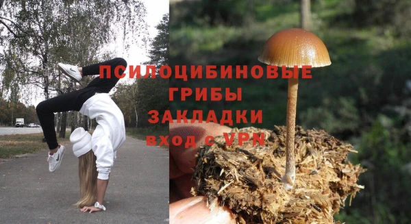 ALPHA-PVP Богородск
