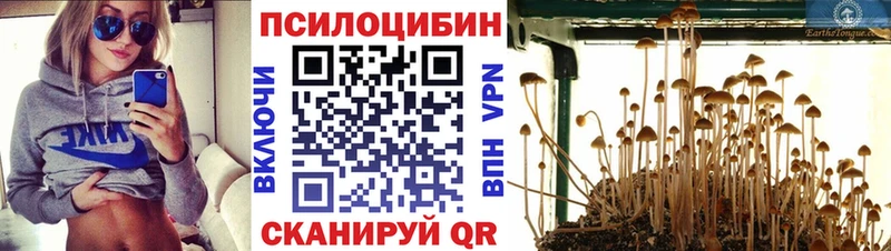 нарко площадка состав  OMG tor  Галлюциногенные грибы GOLDEN TEACHER  Буинск  где купить наркотик 